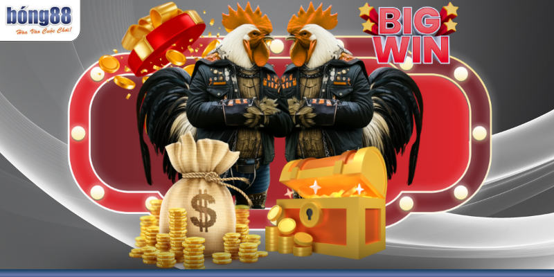 Những thông tin cơ bản về sảnh đá gà BONG88